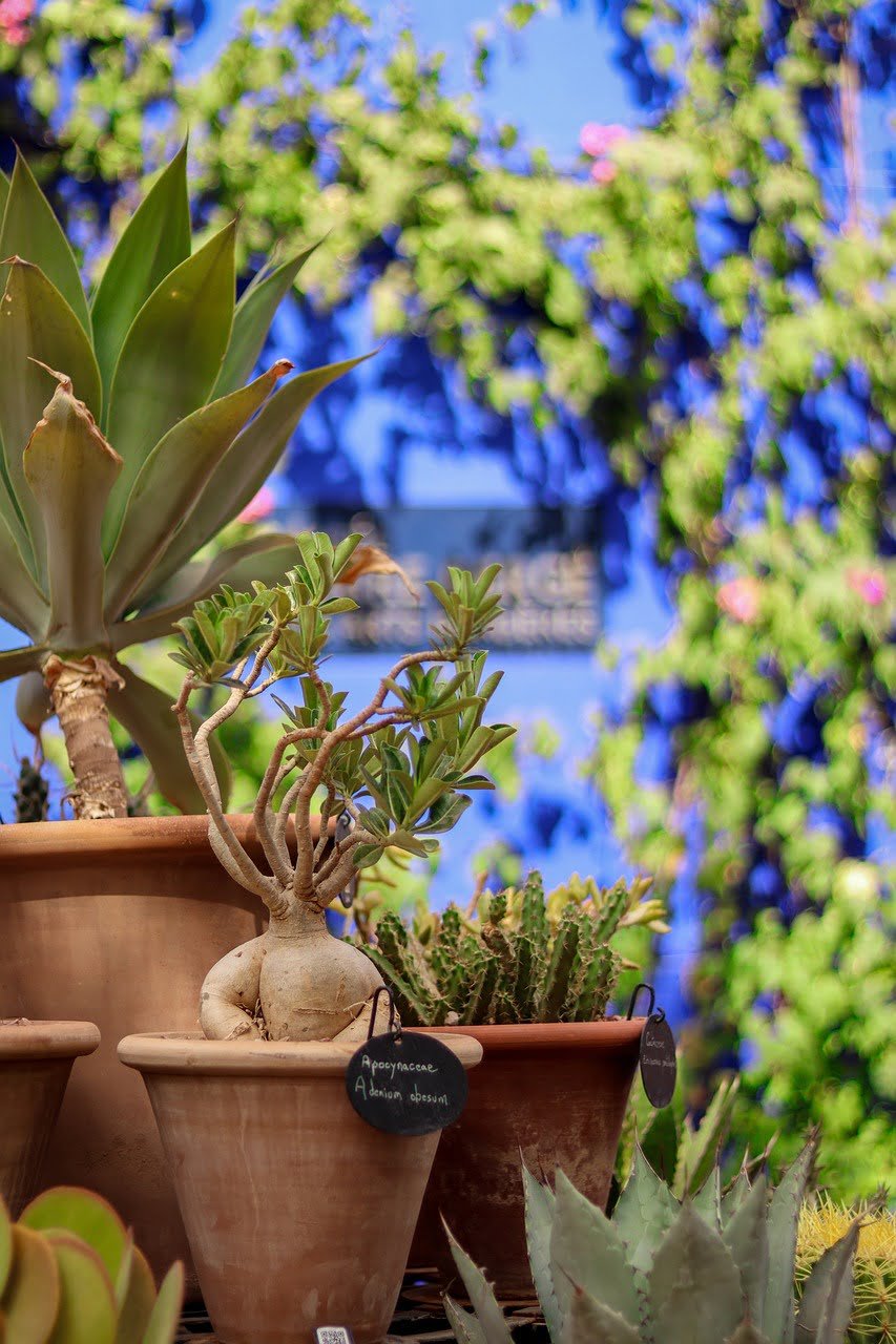 Le Jardin Secret