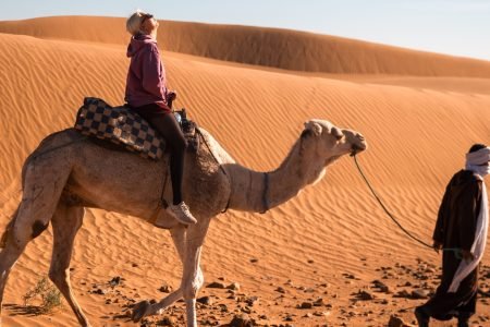 balade à dos de chameau à merzouga