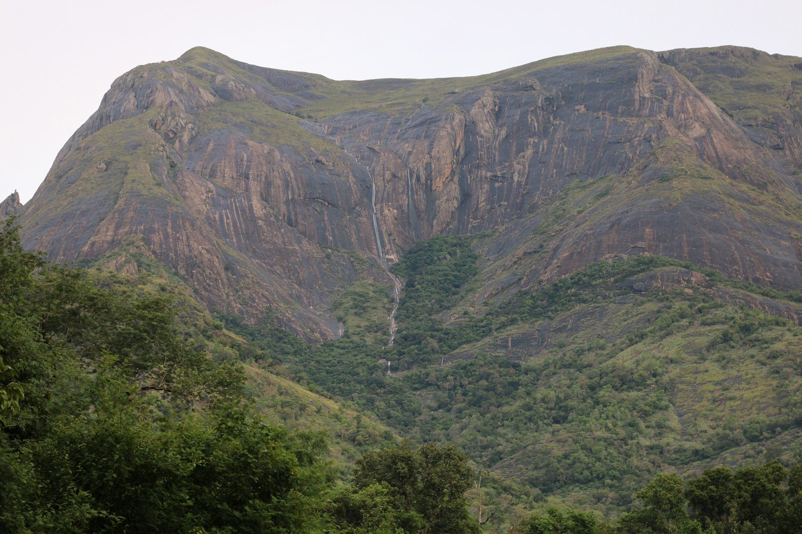 green trees on mountain during daytime