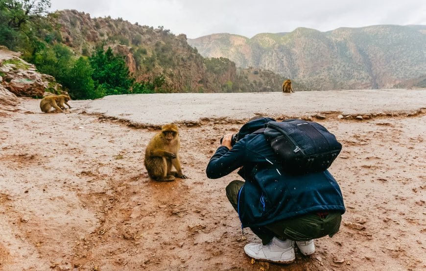 From Marrakech Ouzoud Waterfalls Guided Tour