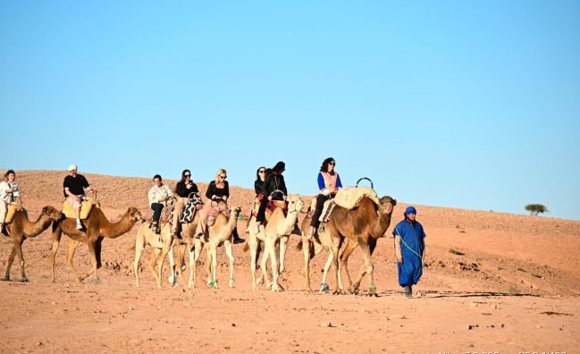 camels tou in agafay marrakech