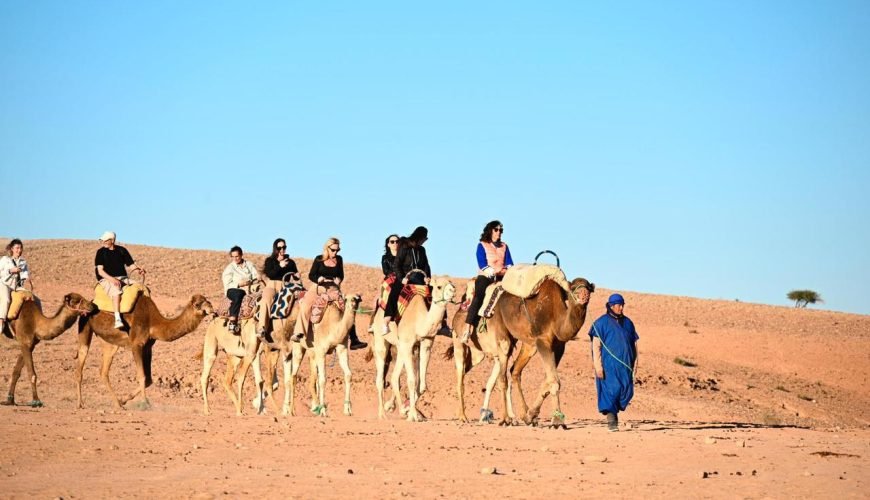chameaux tou à agafay marrakech