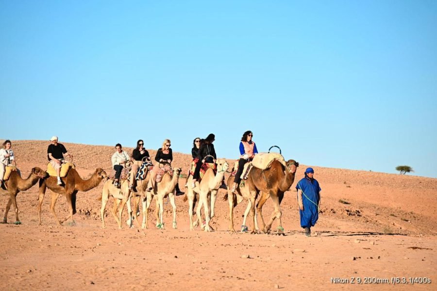 camels tou in agafay marrakech