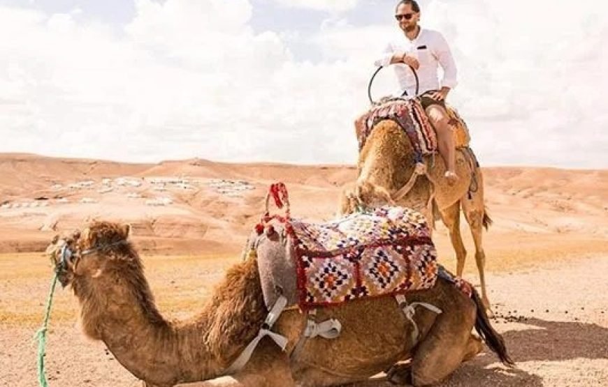 Quad et balades à dos de chameau dans le désert d&rsquo;Agafay avec dîner
