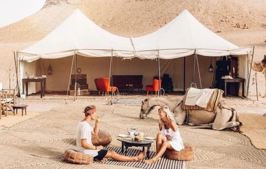 Agafay Desert Quad & Camel Rides with Dinner