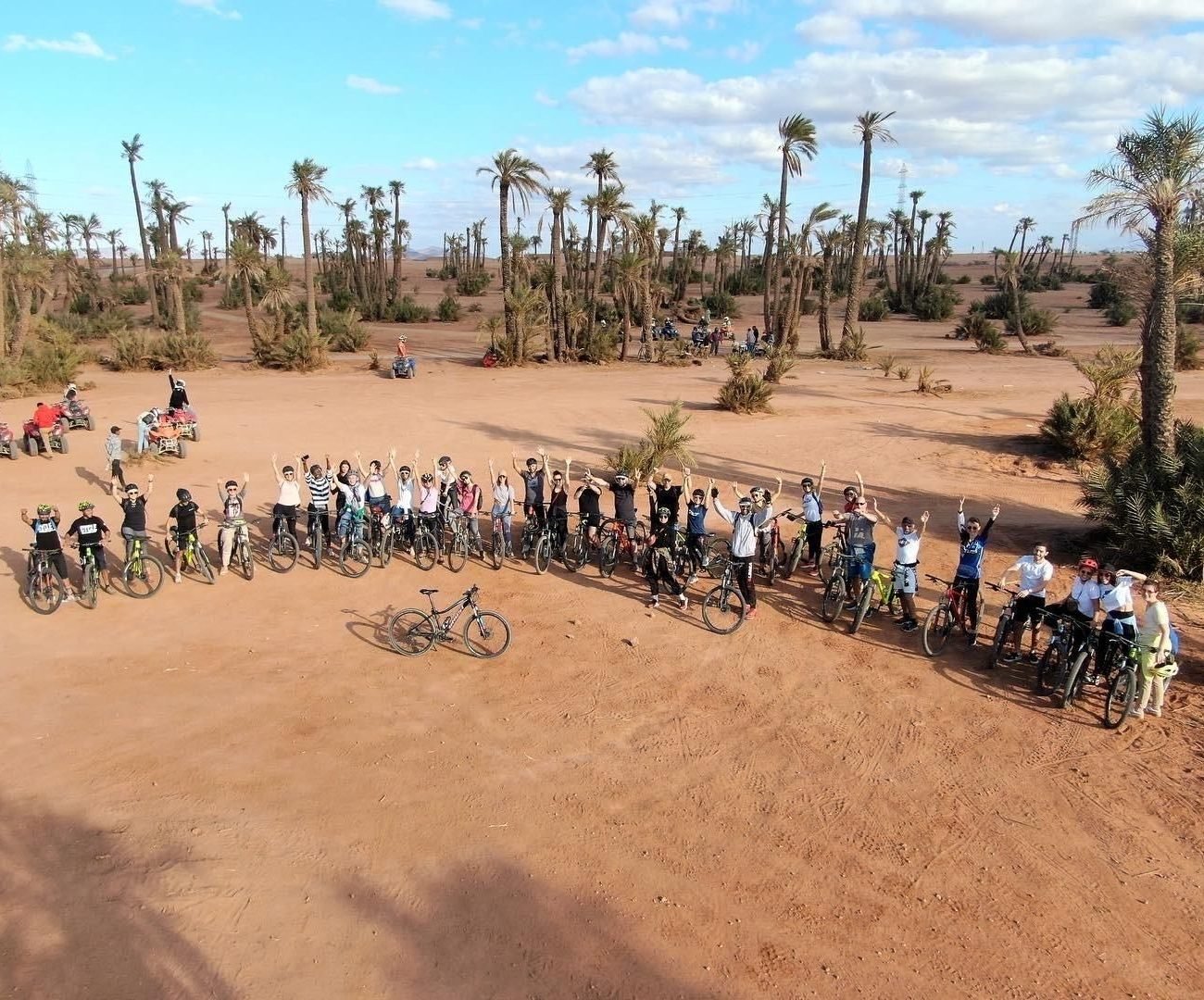 marrakech palm groove