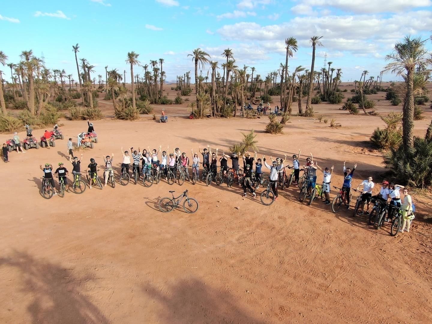 marrakech palm groove