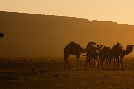 Aventure privée de 3 jours dans le désert: de Marrakech à Merzouga