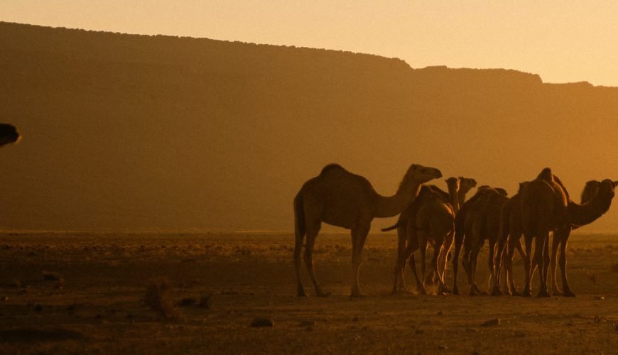 Évasion saharienne de 3 jours : De Marrakech aux dunes de Merzouga